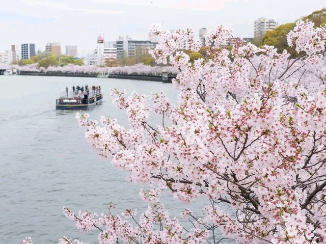 Osaka After Dark – Street Food, Skylines & Soul