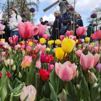 A Blooming Wonderland at Keukenhof Gardens 🌷
