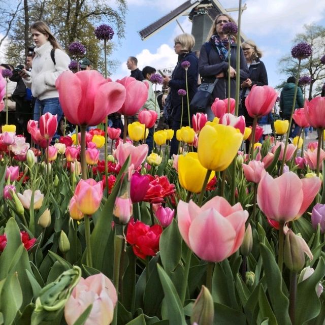 A Blooming Wonderland at Keukenhof Gardens 🌷