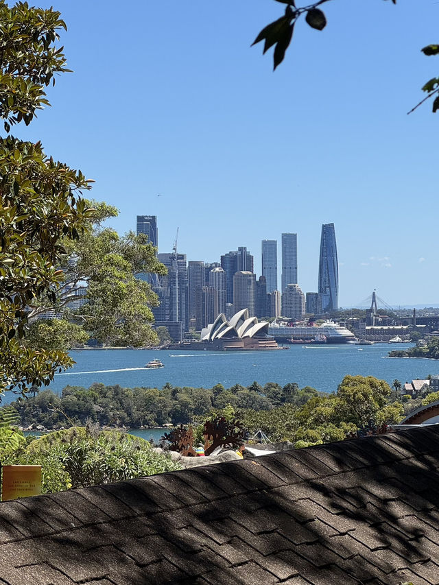 Picture perfect spots in Taronga Zoo Sydney
