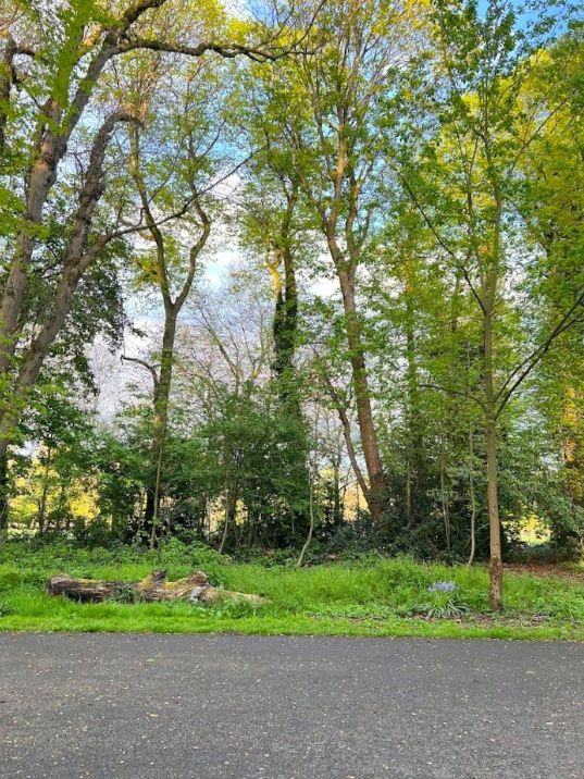 Alexandra Park