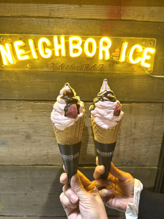 1mi6n224x91h8rrxjC634.jpg?proc