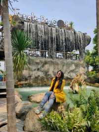 jungle de cafe เชียงใหม่ สาขาบ้านถวาย