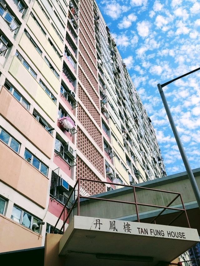 【香港】虹色世界🌈 Choi Hong Estate