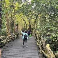 Immersed in Nature: Exploring Yanoda Rainforest in Hainan 