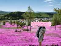 Pink Sakura Blossom in Abashiri