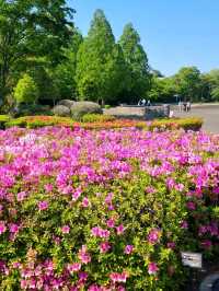 A PEACEFUL SPRING GETAWAY IN THE EASTERN KANTO REGION