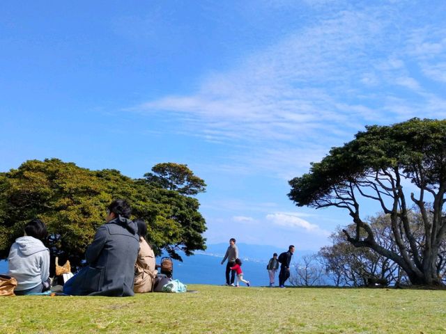 四季都有花的能古島海島公園🌺