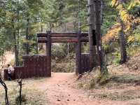 A Hike to Remember in Thimphu -Kuenselphodrang National Park
