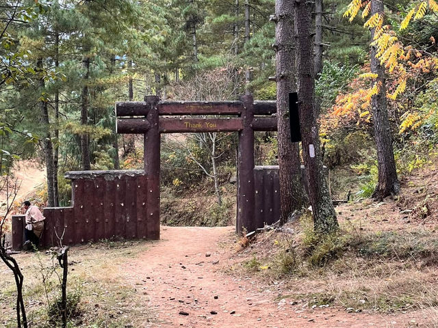 A Hike to Remember in Thimphu -Kuenselphodrang National Park
