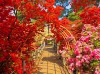 Tsutsujigaoka Park – Tokyo’s Springtime Bloom Spot