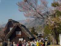 🏞️ 春の息吹に包まれる世界遺産：白川郷合掌造り集落 🌸🏯