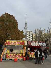 【🇯🇵】春の浅草散歩🎶