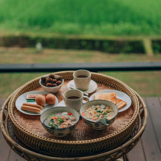 รีสอร์ทท่ามกลางทุ่งนาสีเขียว บรรยากาศดีสุดๆ 🍃🌾