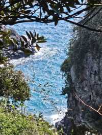 April Scenery in Jeju Island