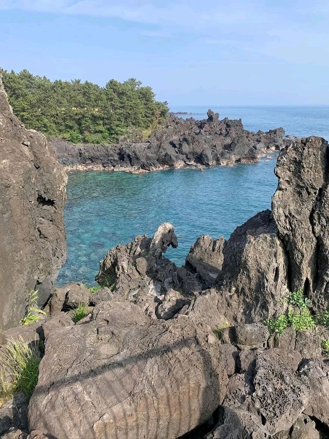 Nature’s Geometric Flex by the Sea