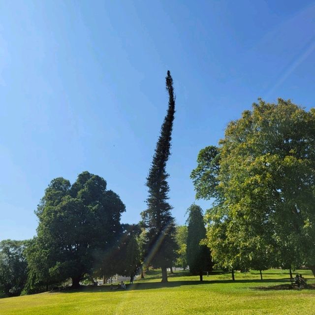 【スリランカ】ペラデニヤ植物園