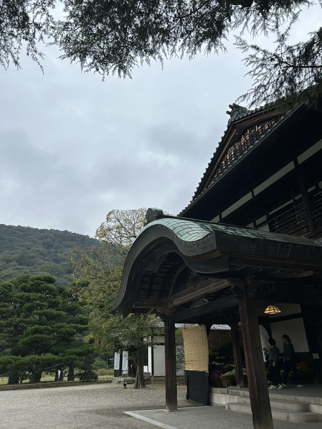 【香川】豊島から高松へ、1日で楽しむ香川満喫プラン