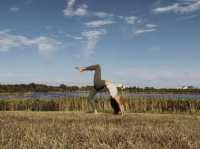 Yoga at Wascana Lake, Regina, Saskatchewan Canada