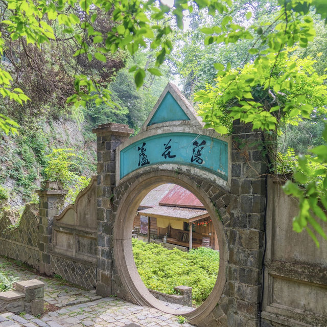 端午來莫干山才是正確的選擇🏞️