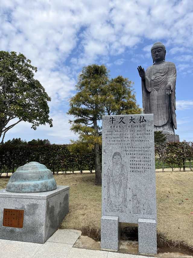 🌸【佛光與櫻影的交會】牛久大佛春日巡禮—一場身心靈共鳴的靜心旅行