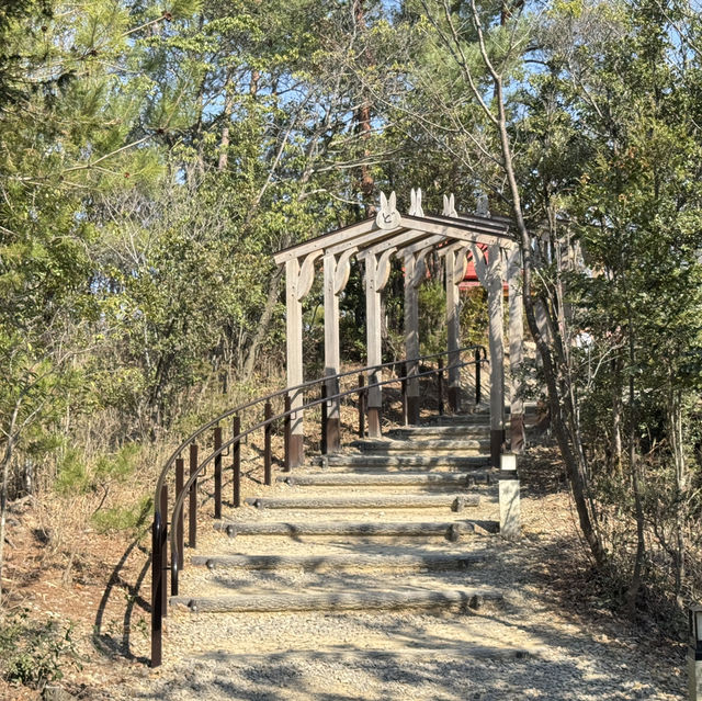 돈도코 숲