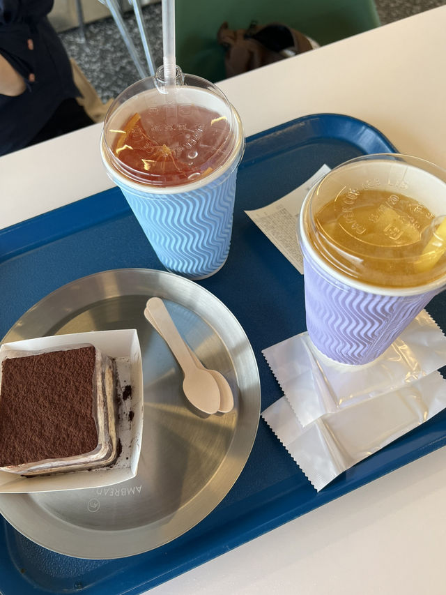 동해안 바다가 보이는 멋진 카페들