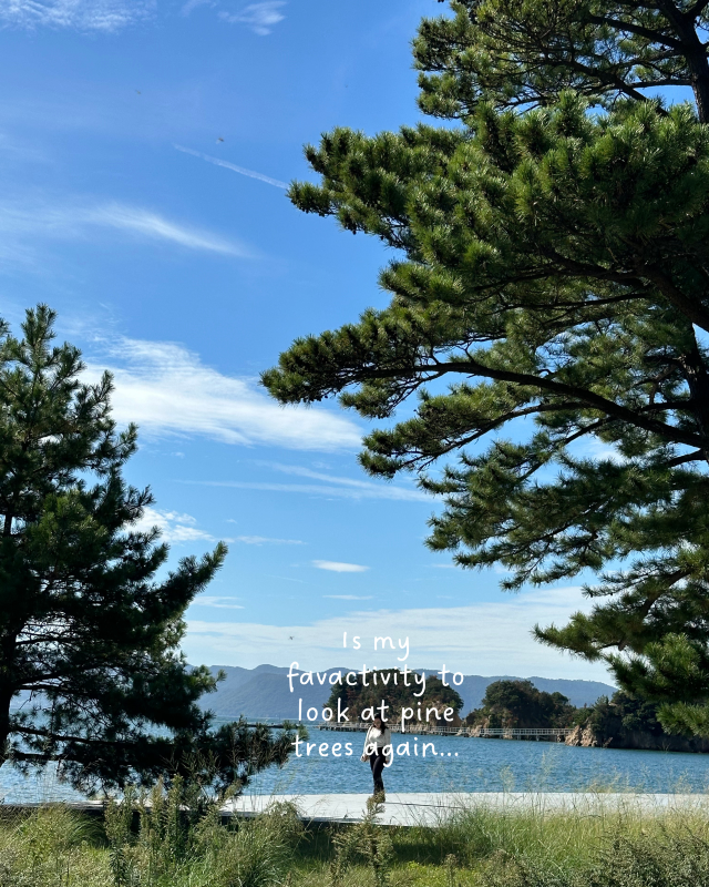 [Japan 🇯🇵] Naoshima: Where Art Meets Island Paradise (and My Pumpkin Dreams Came True!)