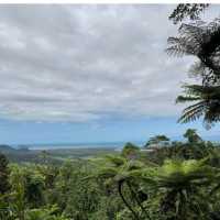 Daintree Rainforest – QLD