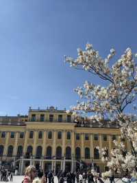 Vienna in Full Glory – A Day with Royal Halls, Sacred Silence & Golden Books