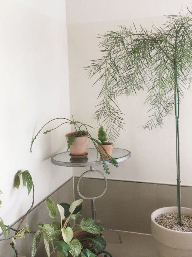 🌿 사계절 자쿠지를 즐길 수 있는 독채펜션