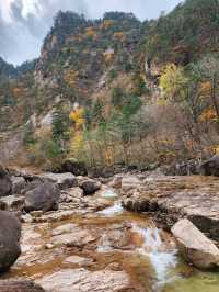 Zen Vibes and Mountain Vibes at Baekdamsa
