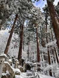 🏔️一千階的靜心旅程：冬遊山寺（立石寺）