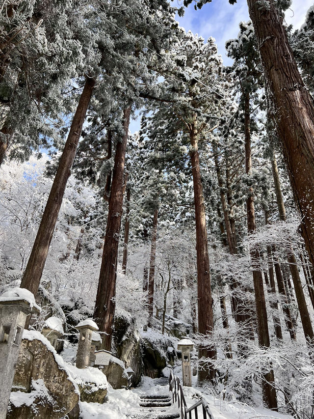 🏔️一千階的靜心旅程：冬遊山寺（立石寺）