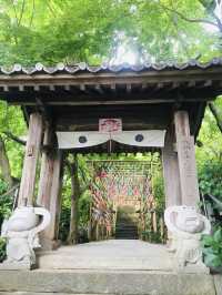 【福岡】かえる寺を巡る旅