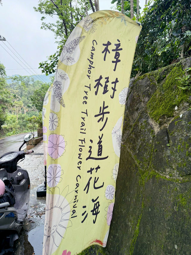 台北近郊 貓空纜車及樟湖步道巡禮
