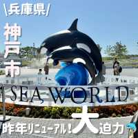 2024年リニューアル❣️大迫力の見応えショー