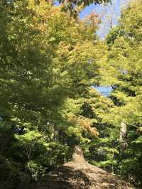 【両国　相撲と公園のまち歩き　東京都墨田区】