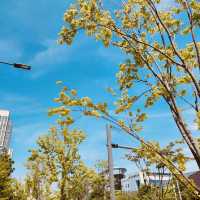 Songdo Convensia: A Modern Marvel for Events and Beyond