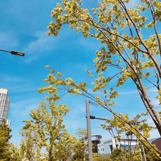Songdo Convensia: A Modern Marvel for Events and Beyond