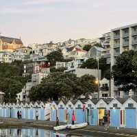 Wellington 1 Days Itinerary