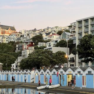 Wellington 1 Days Itinerary