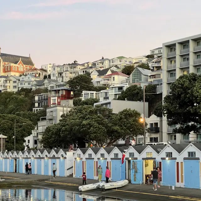 웰링턴 2일 여행 일정 (첫 방문)