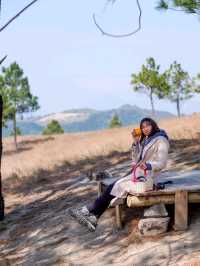 Phuong Hoang peak, a stop near Ha Long Bay 
