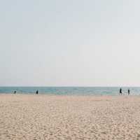 หาดแหลมเจริญ