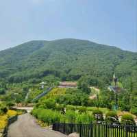 Belle Foret Farm