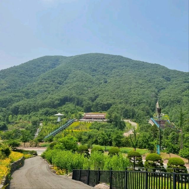 Belle Foret Farm
