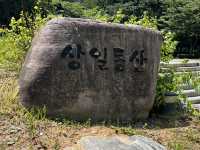 앨리스 유아숲 체험원