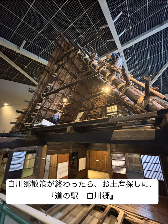 【金沢・白川郷1泊2日旅】1日目スケジュール大公開🗓️