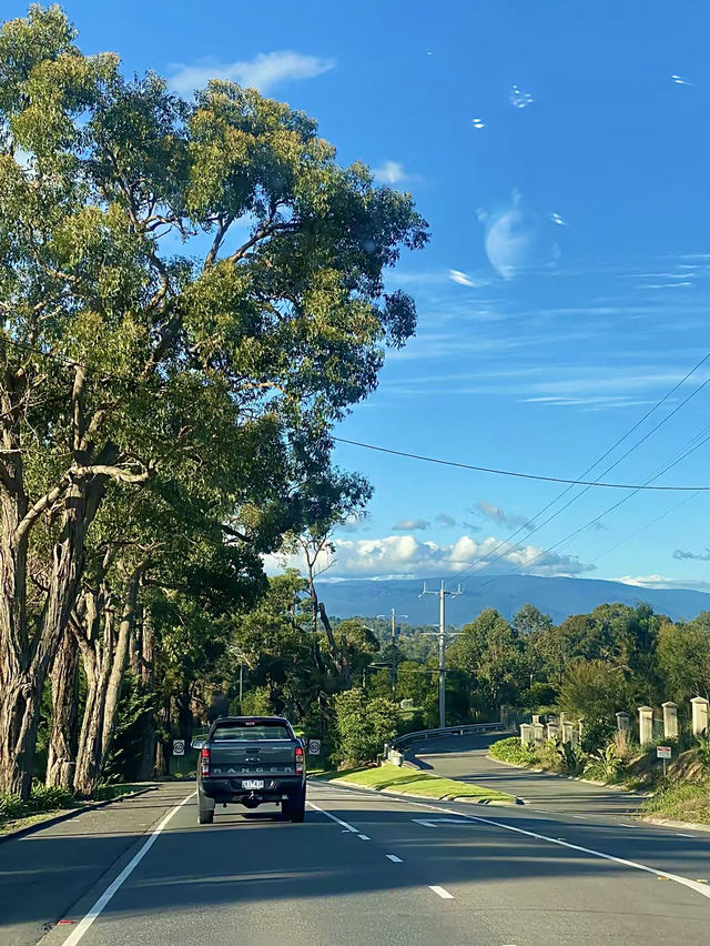 ออสเตรเลีย🇦🇺